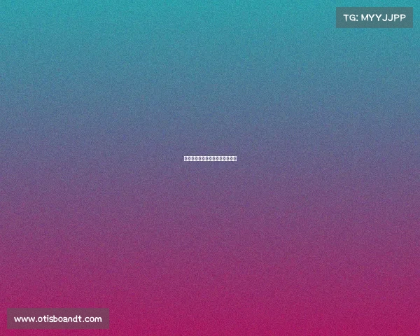 站立式格斗赛事、站立式格斗规则